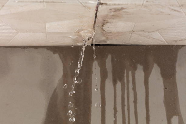 Professional Water Damage Inspection technician working in Amherst, NH